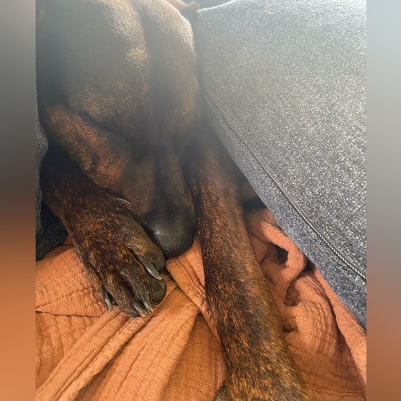 Meet your Posher, Brooke - Picture 6 of 16